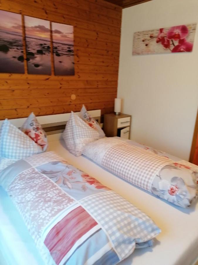 Appartement Haus Bergluft à Ramsau am Dachstein Extérieur photo