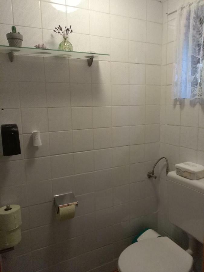 Appartement Haus Bergluft à Ramsau am Dachstein Extérieur photo